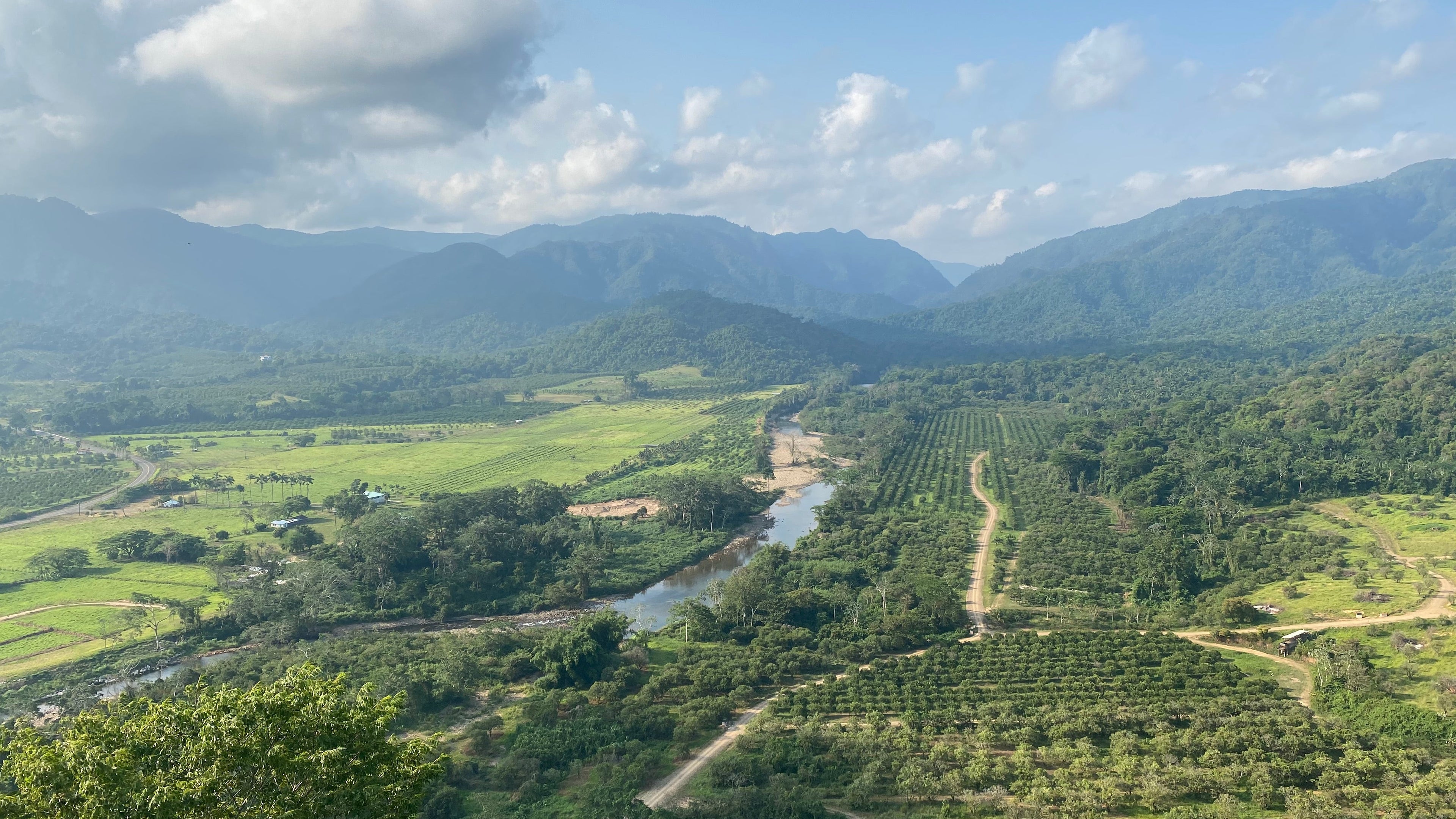 Belize rainforest where Dude Magic plants a tree for every Magic Sprayer purchased through its sustainability program