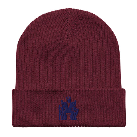 The “Chill & Conquer” Organic Beanie (7 colors)